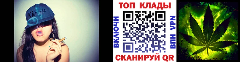 ГАШ Пласт