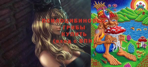 PSILOCYBIN Баксан