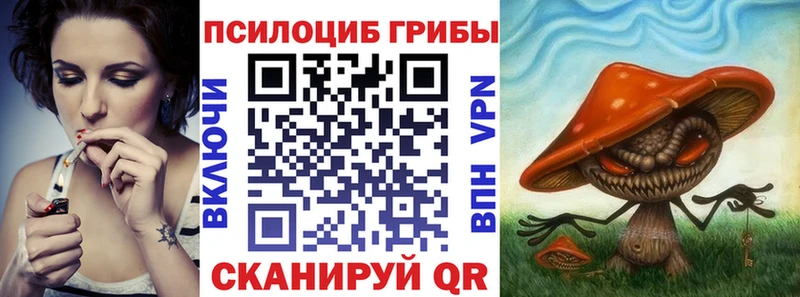 Галлюциногенные грибы Psilocybine cubensis  Пласт 